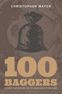 100 Baggers: Stocks That Return 100-to-1 and How To Find Them - by Christopher W. Mayer